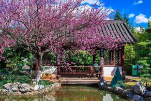 木材在旅游景區中的具體應用 上